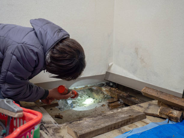 Best Mold Damage Restoration  in Sublimity, OR